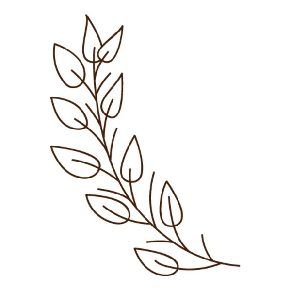 Abstrakter Zweig Mit Blättern Ein Grashalm Botanisches Pflanzliches Gestaltungselement Mit — Stockvektor