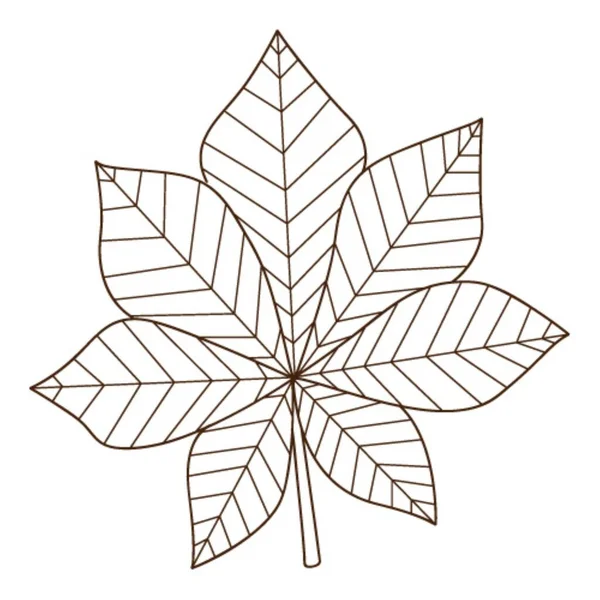 Каштановый Лист Осенний Лист Ботанический Элемент Оформления Растений Контуром Дудл — стоковый вектор
