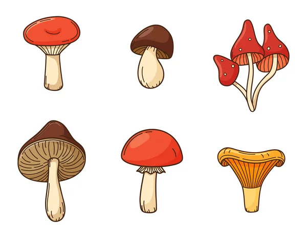 Eine Reihe Farbiger Pilzkritzeleien Essbare Pilze Herbst Elemente Mit Einem — Stockvektor