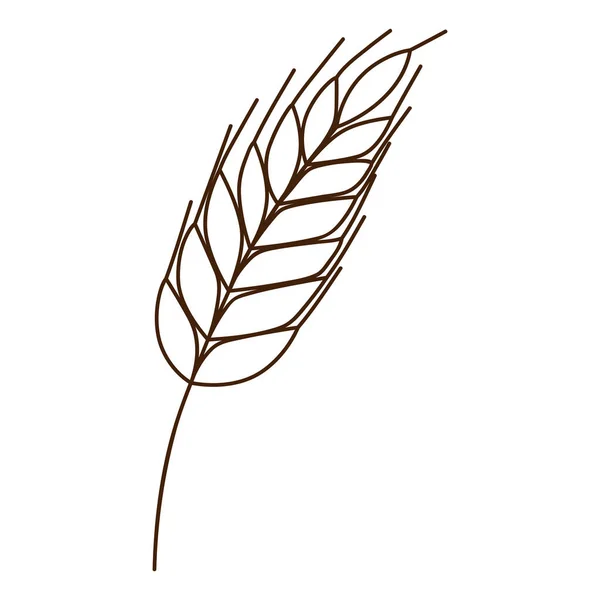 Buğday Çavdar Viskisi Sonbaharın Sembolü Hasat Tasarım Öğesi Ana Hatlarıyla — Stok Vektör