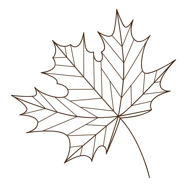 Ahorn Herbstblatt Botanisches Pflanzliches Gestaltungselement Mit Umriss Herbstzeit Gekritzelt Handgezeichnet — Stockvektor