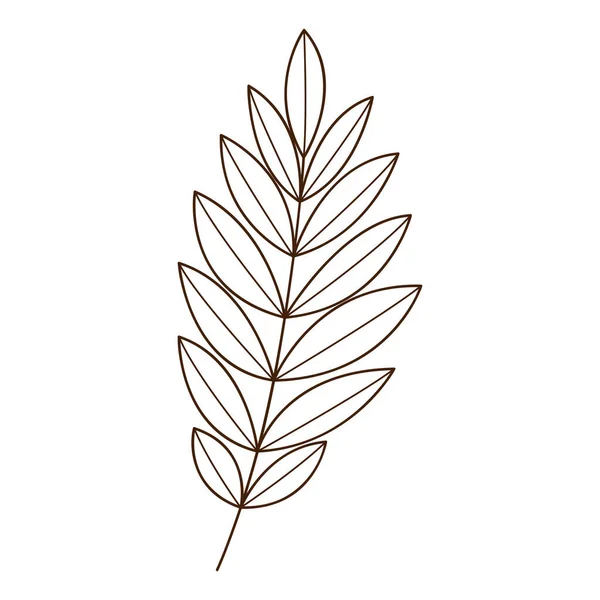 Rameau Abstrait Avec Des Feuilles Brin Herbe Automne Élément Botanique — Image vectorielle
