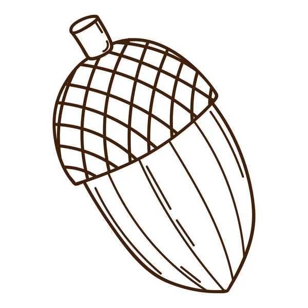 橡木橡子 森林的象征 秋天和收获 带有轮廓的植物设计元素 平面设计 黑色白色矢量图解 被白色背景隔离 — 图库矢量图片