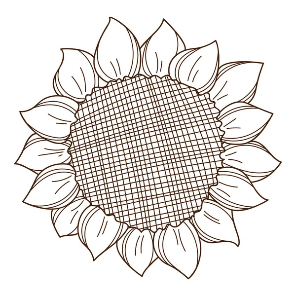 向日葵顶视图 成熟的向日葵秋天的象征 带有概要的设计元素 黑色白色矢量图解 被白色背景隔离 — 图库矢量图片