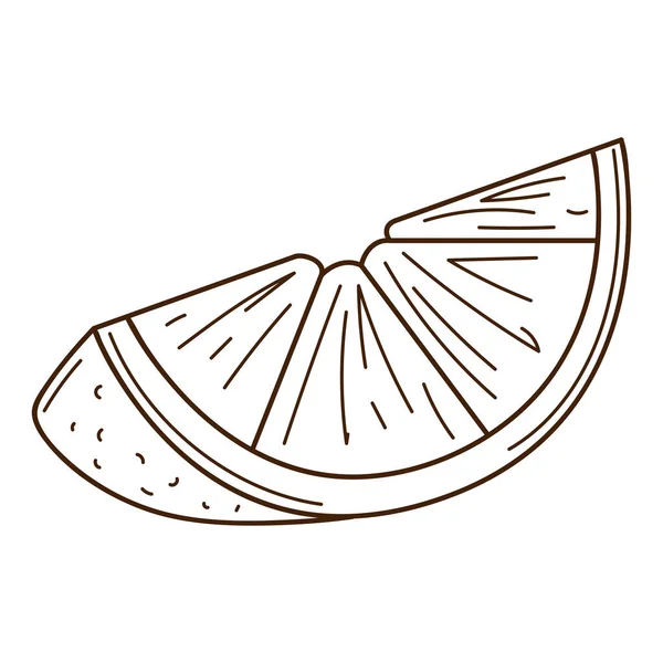 Kousek Pomeranče Prvek Návrhu Potravin Obrysem Čmáranice Ručně Kreslená Černobílá — Stockový vektor