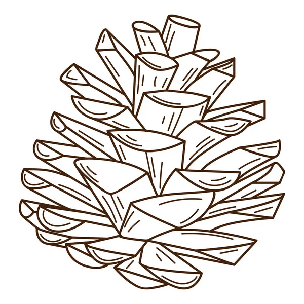 Сосновая Шишка Символ Леса Осени Жатвы Элемент Ботанического Дизайна Контуром — стоковый вектор