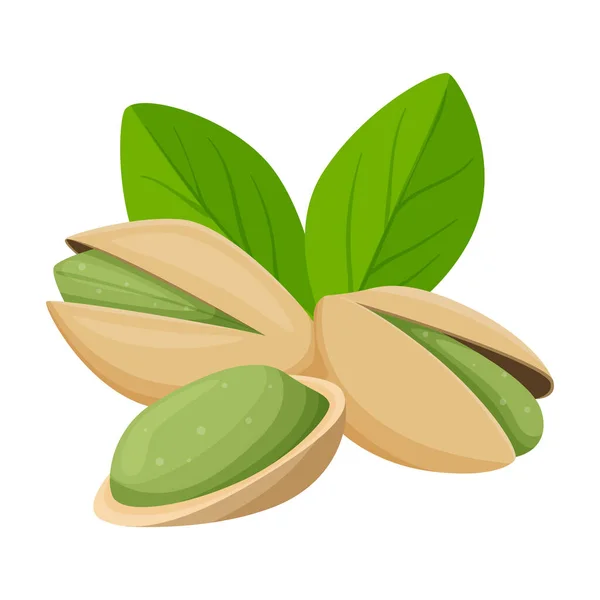 Pistachio Nuts Shell Leaves Healthy Food Ingredient Flat Cartoon Style — Stock Vector