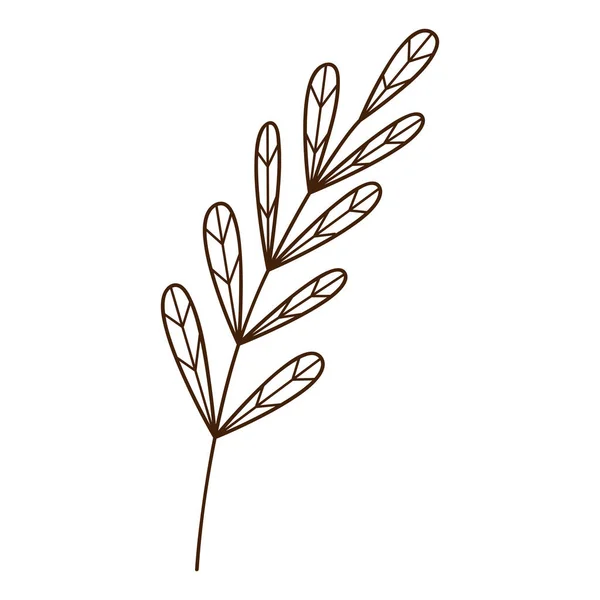 Brindille Abstraite Avec Des Feuilles Brin Herbe Automne Élément Botanique — Image vectorielle