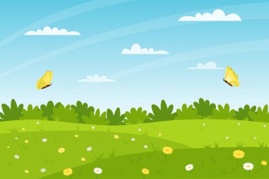 Horizontal summer landscape. A field of flowers, glade with daisies, bushes, butterflies flying. Clear weather. Color vector illustration. Nature background with empty space for text.