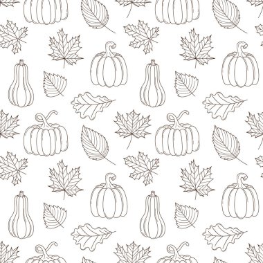 Farklı sonbahar yaprakları ve balkabaklarıyla kusursuz desen. Sonbahar hasadı, Şükran Günü. Tek renkli arkaplan ve doğrusal ana hatlı karalama elemanları. Beyaz arkaplanda siyah ve beyaz vektör deseni