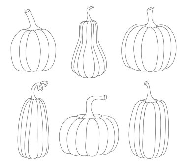 Bir dizi siyah beyaz balkabağı. Ana hatlarıyla çizilmiş balkabakları. Çizgi sanatı. Beyaz arkaplanda izole edilmiş vektör illüstrasyonu.