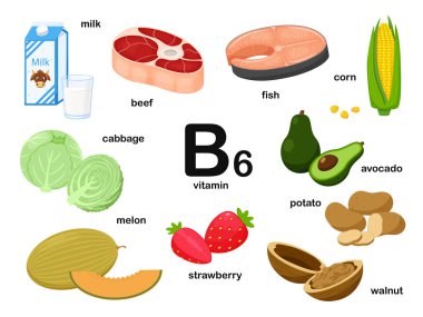 İçinde B6 vitamini içeren gıda ürünleri olan dikdörtgen bir poster. Pyridoxamine. İlaç, diyet, sağlıklı beslenme, bilgi grafikleri. İsmi olan ürünler. Düz çizgi film beyazı beyazı üzerinde izole edilmiş.