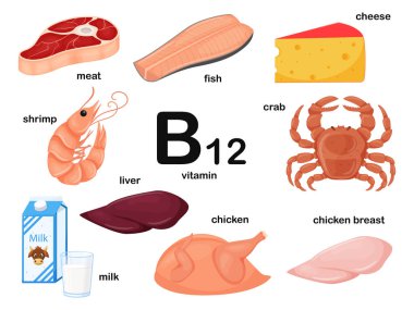 İçinde B12 vitamini içeren gıda ürünleri olan dikdörtgen bir poster. Kobalamin. İlaç, diyet, sağlıklı beslenme, bilgi grafikleri. Adı olan ürünler. Beyaz arka planda izole edilmiş düz çizgi film yemek çizimleri.