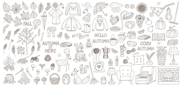 A set of decorative elements. Autumn, cozy home, hugge. Clothing, crops, animals, interior, cozy. Design collection of outline doodles. Black and white vector illustration. Isolated on white