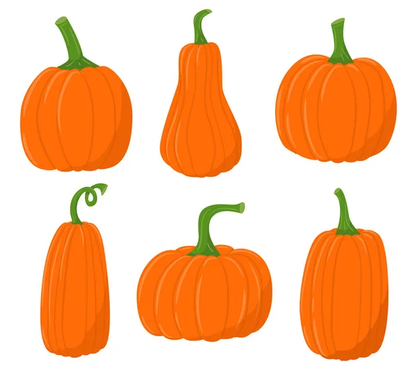 Eine Reihe Farbiger Flacher Kürbissymbole Herbsternte Der Bauern Erntedankfest Gemüse — Stockvektor