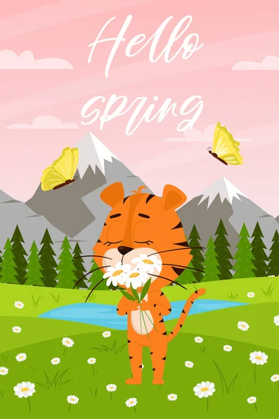 Cute cartoon tiger sniffs chamomile flowers on the background of summer landscape with forest and mountains.Vertical rectangular card with an adorable character.Hello spring. Color vector illustration