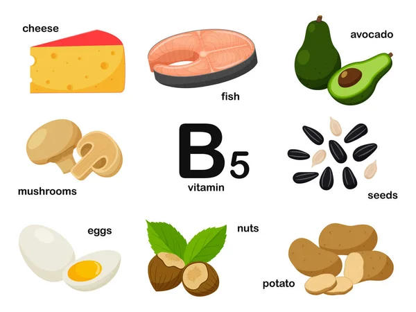 含有维生素B5的食品的矩形海报 松驰酸 健康的饮食 信息图形 有名称的产品 平面卡通食品插图在白色上隔离 — 图库矢量图片