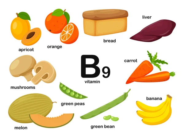 Cartel Rectangular Con Productos Alimenticios Que Contienen Vitamina Ácido Fólico — Archivo Imágenes Vectoriales