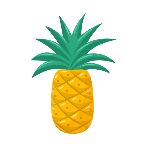 一个有叶子的菠萝热带异国情调的水果一个明亮的水果 一个夏天的象征 在白色背景上孤立的平面卡通风格的矢量插图 — 图库矢量图片