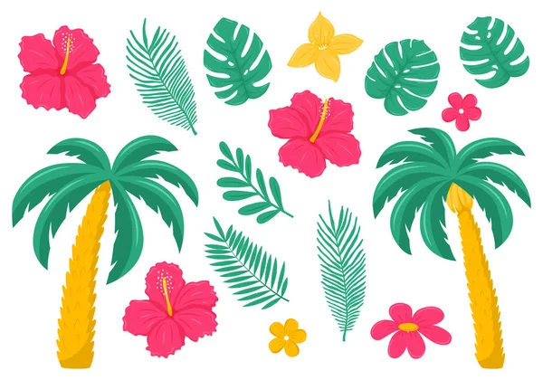 Conjunto Folhas Flores Tropicais Exóticas Palma Hibisco Plumeria Ilustrações Vetor — Vetor de Stock