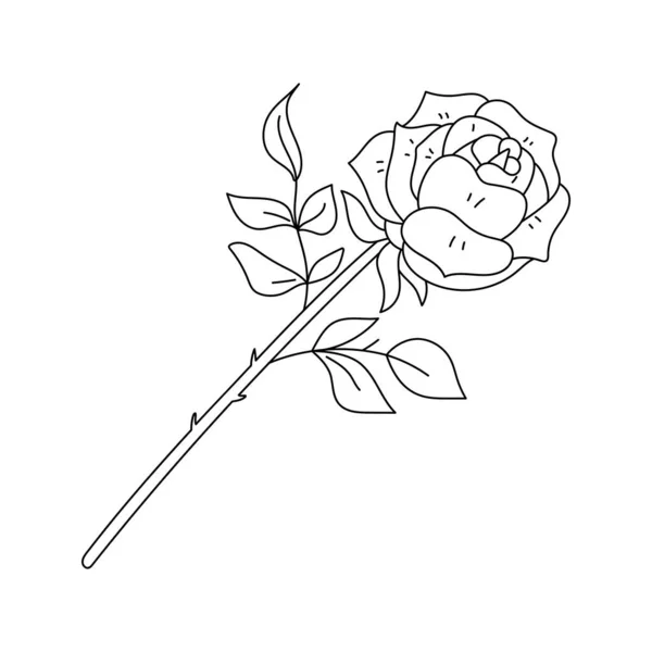 Una Rosa Floreciente Una Ramita Con Hojas Flor Rosada Dibujada — Vector de stock