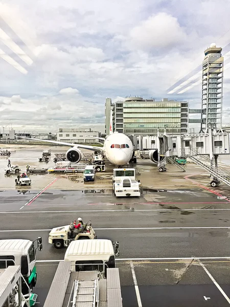 Narita Chiba Japan Sep 2018 Een Japan Airlines Passagiersvliegtuig Landt — Stockfoto