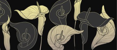 Botanical line bakground with calla flowers and leaves. Floral foliage for wedding invitation, wall art or card template. Vector illustration. Luxury rustic trendy art