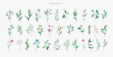 Sulu yeşil yapraklar ve çiçek unsurları suluboya stilinde. Aquarelle 'in moda yeşillik dalları ve çiçek açıyor. Davet ve tebrik kartı için beyaz arkaplanda vektör izole edildi, tarihi kaydet.