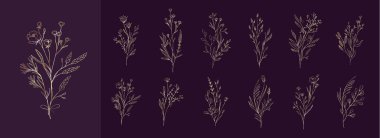 Altın çiçek dalı ve logo ya da dövme için minimalist çiçekler. El yapımı düğün otları, davetiye için zarif yapraklar. Randevu kartını sakla. Botanik kırsal trend vektörü