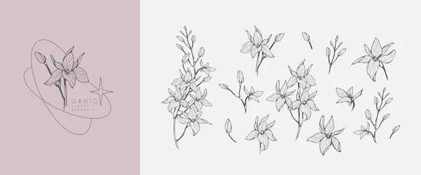 Набор Роскошных Орхидеи Цветы Логотип Модные Ботанические Элементы Ручная Линия — стоковый вектор