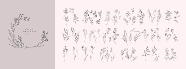 Set Luxury Flowers Trendy Botanical Elements Hand Drawn Line Leaves — Wektor stockowy