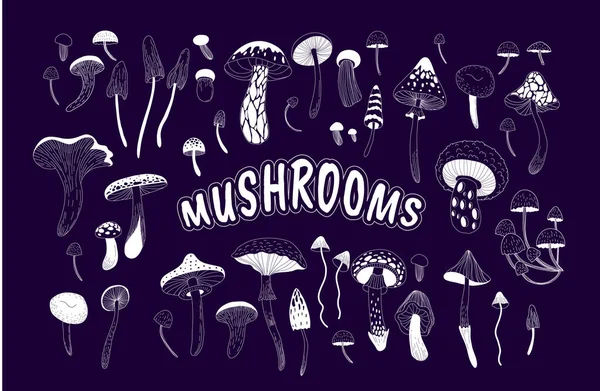 Set Various Mystical Mushrooms Hippie Magic Boho Wall Art Background — Stock Vector
