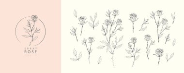 Gül çiçeği ve logo spreyi seti. Son moda botanik elementler. El çizimi dallar ve çiçek açar. Davetiye için zarif kır çiçekleri. Randevu kartını sakla. Vektör eğilimli yeşillik