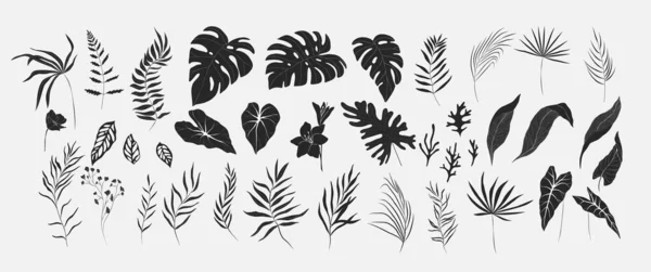 シルエットやラインスタイルでヤシや花の花の熱帯枝のセット 招待状のための手描きのエレガントなエキゾチックな葉は 日付カードのデザインを保存します 植物のトレンディーな緑のベクトル — ストックベクタ
