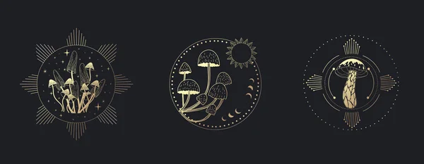 Uppsättning Logotyp Med Olika Mystiska Svampar Hippie Magiska Boho Kort — Stock vektor