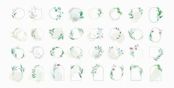 一套水彩画风格的豪华绿叶和花卉元素 水族时髦的绿色分枝和框架 在白色背景上分离的向量 用于邀请函 保存日期 图库矢量图片