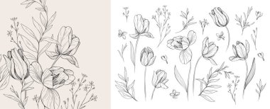 Detaylı siyah beyaz çizim seti çeşitli laleler ve yapraklar. Düğün davetiyesi için lüks çiçek koleksiyonu, duvar kâğıdı sanatı ya da randevu kartını sakla. Botanik vektör illüstrasyonu
