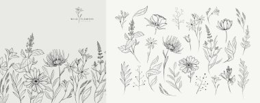 Detaylı siyah beyaz çizimler çeşitli çiçek ve yapraklar. Düğün davetiyesi için lüks çiçek koleksiyonu, duvar kâğıdı sanatı ya da randevu kartını sakla. Botanik vektör illüstrasyonu