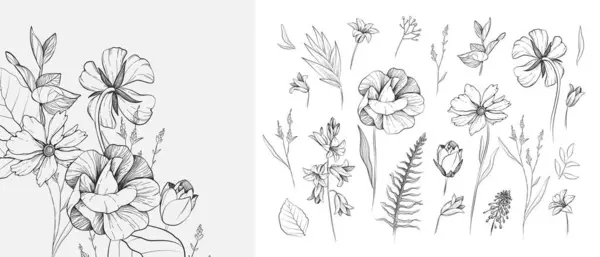Jogo Desenho Preto Branco Detalhado Várias Flores Folhas Coleção Floral — Vetor de Stock
