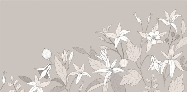 Květinové Pekárny Nebo Tapety Kyticí Různých Květin Botanické Listí Pro Stock Ilustrace