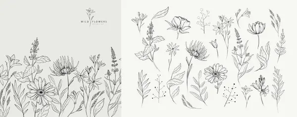 Ensemble Dessin Noir Blanc Détaillé Diverses Fleurs Feuilles Collection Florale Illustrations De Stock Libres De Droits