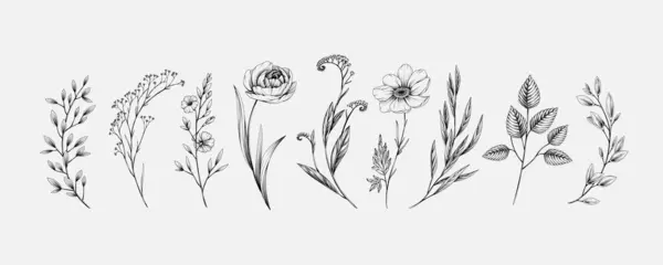 Botanická Sada Detailních Různých Květin Pozdní Snídaně Luxusní Vinobraní Květinové Stock Ilustrace