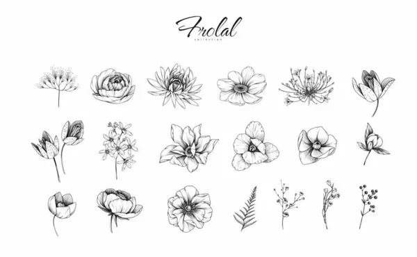 Conjunto Botânico Várias Flores Detalhadas Brunch Coleção Floral Vintage Luxo Ilustrações De Stock Royalty-Free