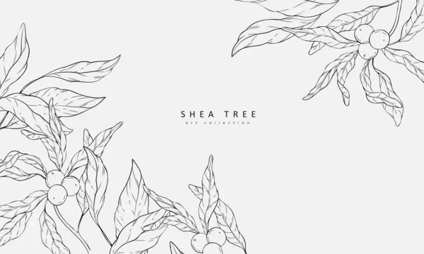 Shea Ağacıyla Süslü Fırın Kozmetik Duvar Sanatı Duvar Kağıdı Için Telifsiz Stok Vektörler