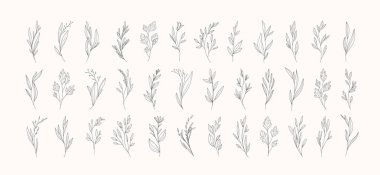 Düzenlenebilir inmeden farklı çiçekler ve brunch seti. Düğün davetiyesi için çiçek koleksiyonu, tarih kartının tasarım şablonu. Botanik vektör çizimi,