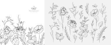 Detaylı siyah beyaz çizimler çeşitli çiçek ve yapraklar. Düğün davetiyesi için lüks çiçek koleksiyonu, duvar kâğıdı sanatı ya da randevu kartını sakla. Botanik vektör illüstrasyonu