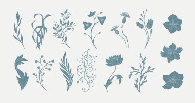 Bir dizi yeni sanat çiçekleri ve botanik elementler. Klasik el yapımı yapraklar dallar ve çiçek açıyor. Davetiye için klasik düğün zarif unsurları tarih kartını kaydet. Vektör illüstrasyonu