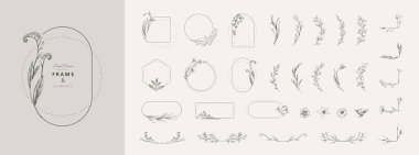Detaylı çiçek tasarımı elementleri. Çiçekler ve yapraklarla narin botanik çerçeveler, karmaşık el çizimi detaylar. Davetiye için botanik vektör illüstrasyonuName.