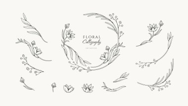 Zarif kaligrafik botanik tasarım elementleri, çiçek çerçevesi ve zarif dallar. Düğün çiçekleri davetiye için tarih kartını sakla. Botanik kadın kırsal vektör çizimi.