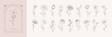 Botanik seti çeşitli çiçekleri detaylandırdı. Düğün davetiyesi, duvar kâğıdı sanatı ya da tarih kartı için lüks bir çiçek koleksiyonu. Botanik vektör illüstrasyonu, çizgi otları